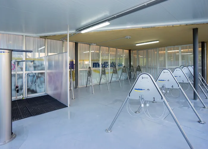 Medplaya Hotel Calypso